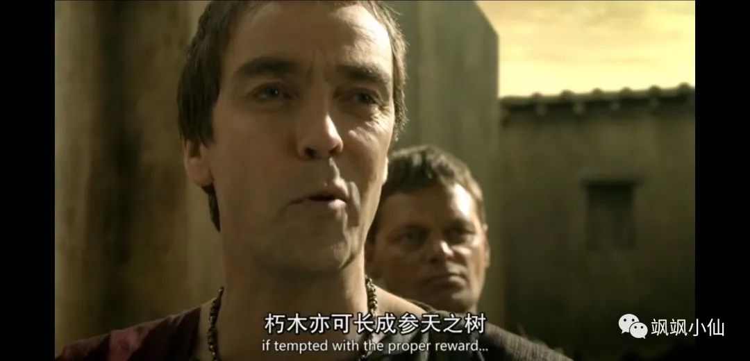 荷尔蒙散满屏，肾上腺飙升的欧美剧和电影四部