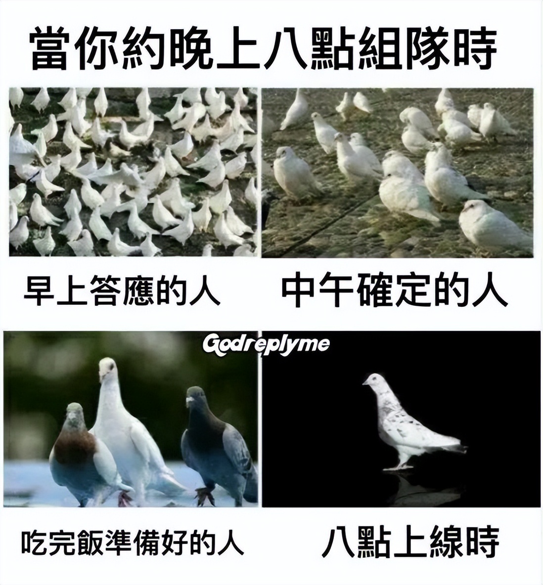 笑死人的图片(盘点全网笑到肚子疼的搞笑图片，笑死人不偿命~(第九期))