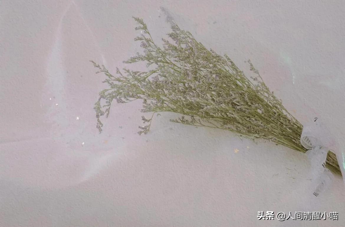 那些三观不正，但是让人感到很舒服的话