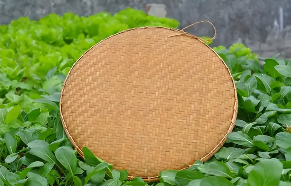 簸箕怎么读？簸箕的读音和意思