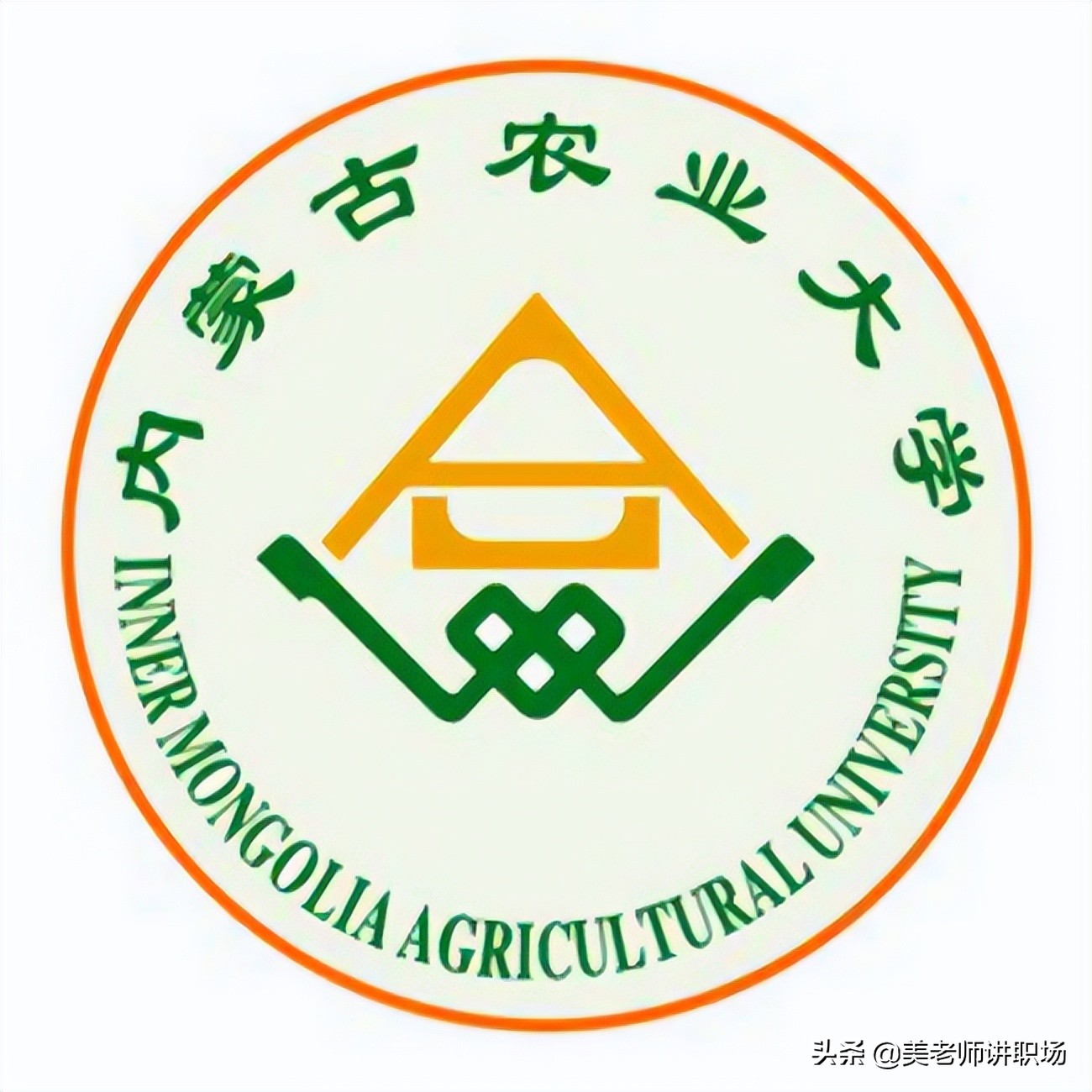 万字点评：全国31省市各排名前五共155所高校