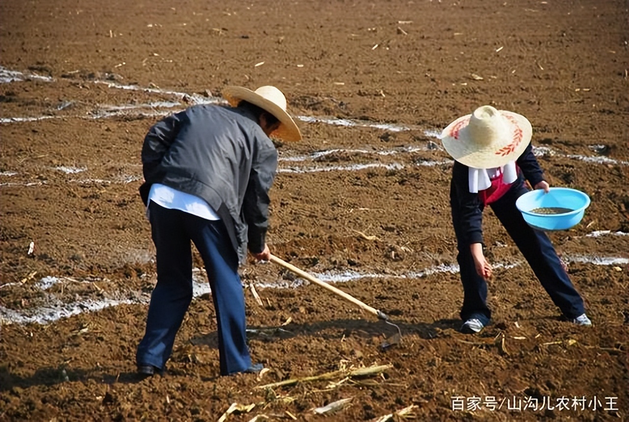 是农民就会种地吗?给你几亩地,你知道如何种庄稼吗?