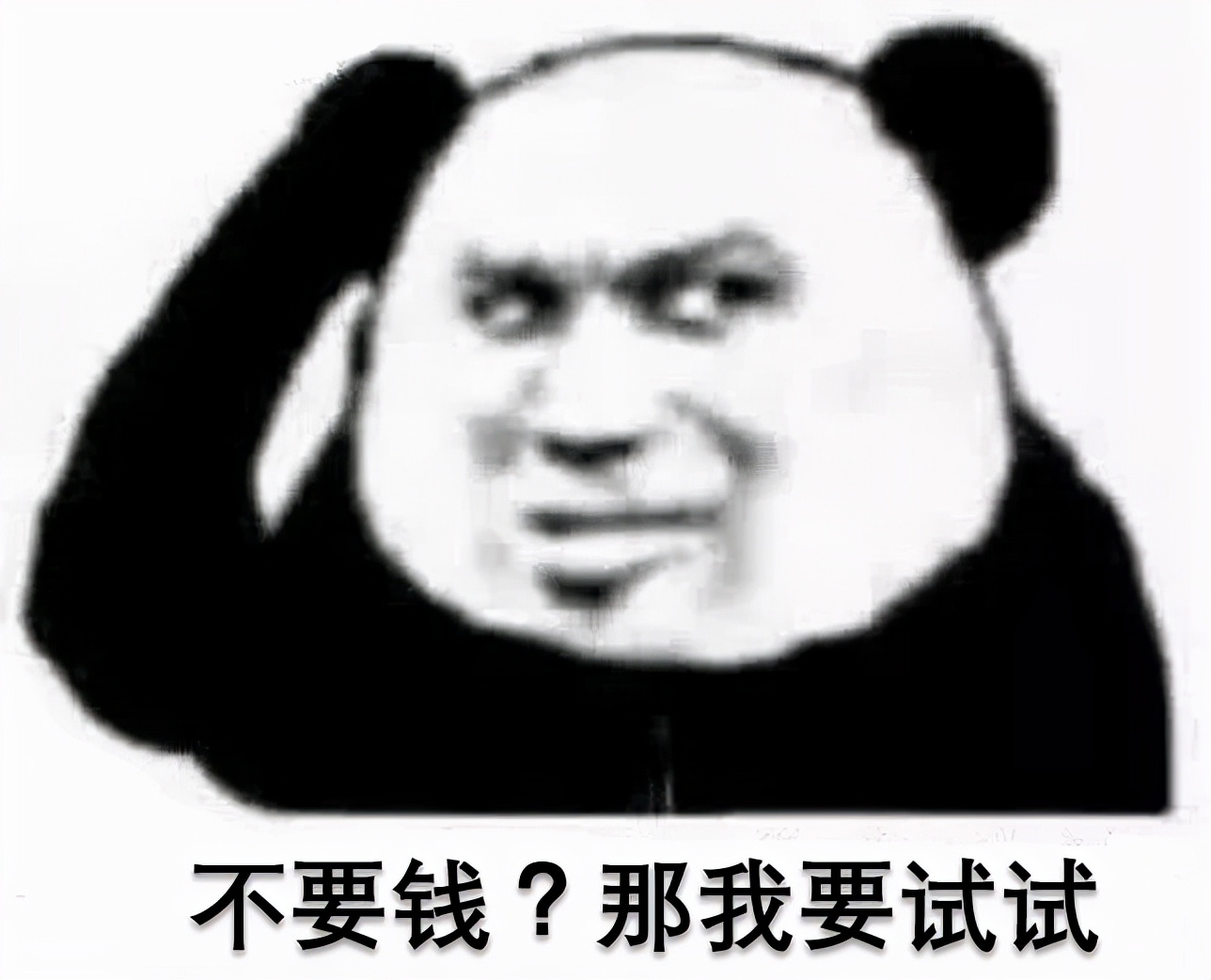 为什么别人的WordPress网站那么快？