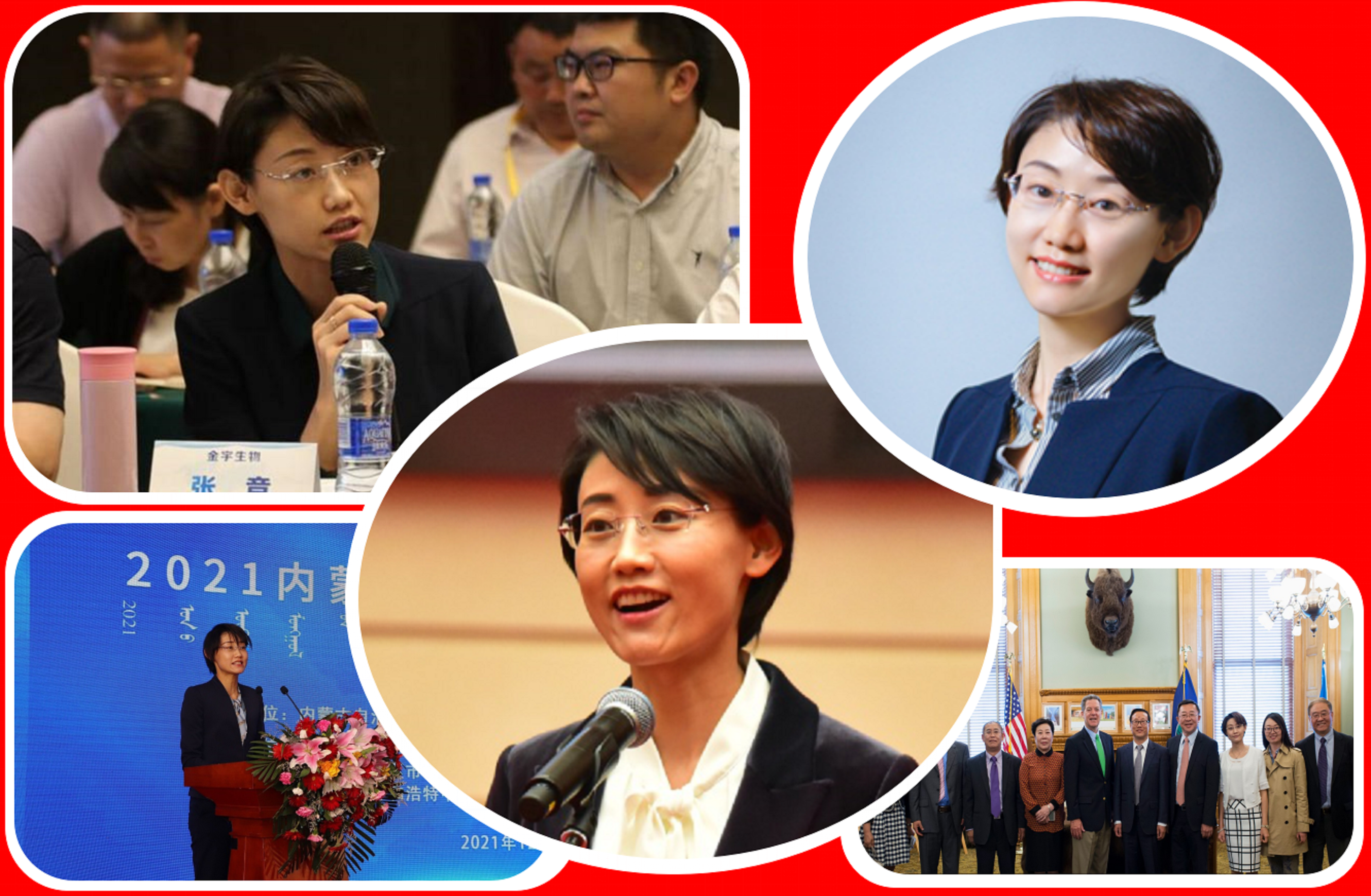 内蒙古呼市又出“大黑马”：80后A股“美女总裁”，市值156.88亿