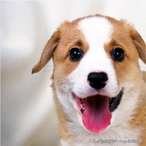 ![Python 细聊一下可以媲美 PS 的 PIL 图片处理库