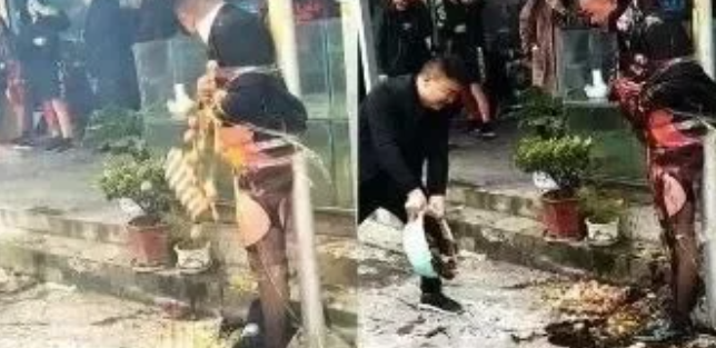 幸福到万家首播：何幸福的公婆才是农村人写实