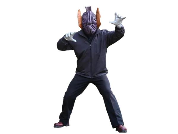 抱团宇宙人霍克星人