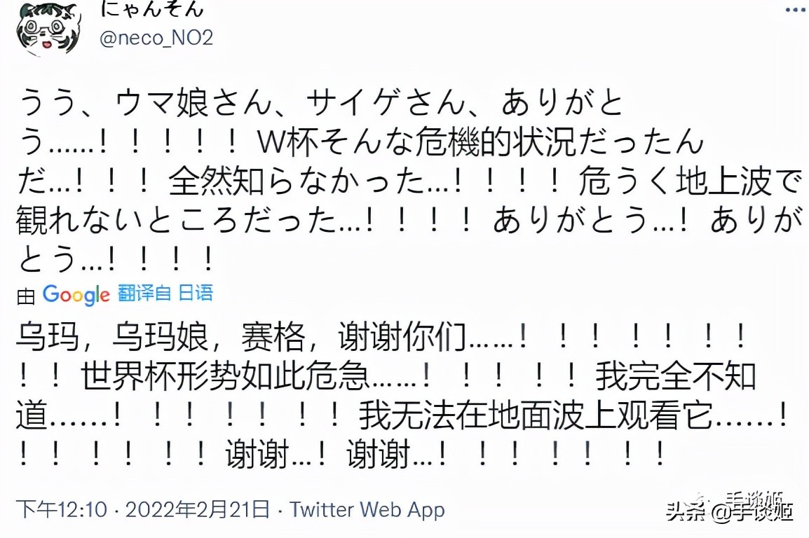 国外网络如何看世界杯(多亏了《赛马娘》手游，日本网友才能看上22年世界杯？)