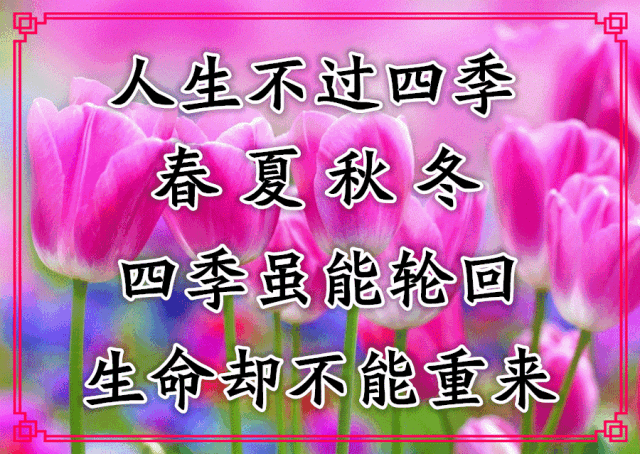 周五微信群发温馨早上好祝福短信 让爱心聚成花 最美的花送最美的你图片