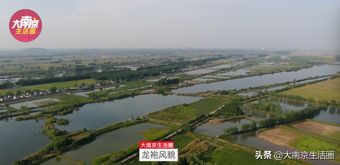 同为远郊，南京这些新城谁更有未来？