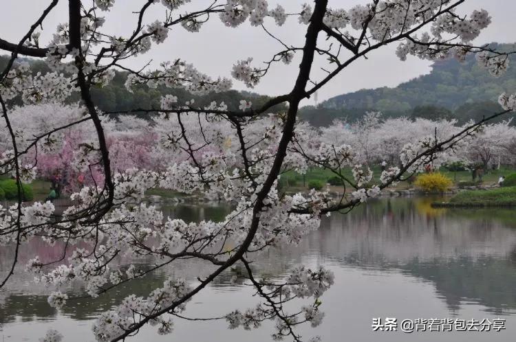 湖北景点排名大全（湖北必玩的十大景区你去过吗）