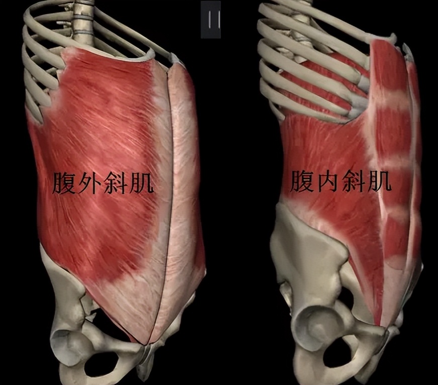 女大十八变！李小璐晒与甜馨合照，网友：云朵和我的云馨，好美