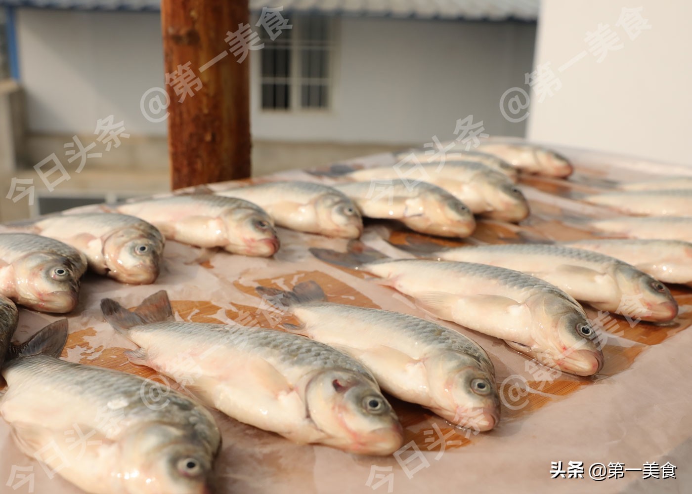 冬至后要多吃鱼，2种最过瘾吃法，骨酥肉烂入口化渣，连汤都喝光