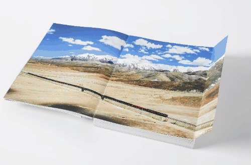 18本适合送人的中信好书，又美又有趣