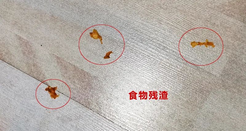 寶媽實(shí)測：蘇泊爾AP吸拖一體機(jī)，讓家務(wù)變得簡單