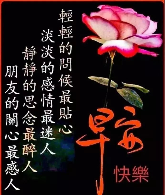 早上好图片带字 早上好问候动态表情图片 快乐活在当下 尽心就是完美图片