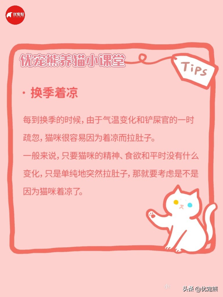 猫盒科普｜猫咪腹泻怎么办