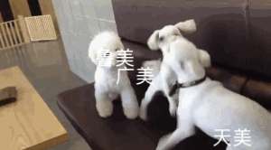 联考初选线多少？美院复试大撞车？校考路况了解下