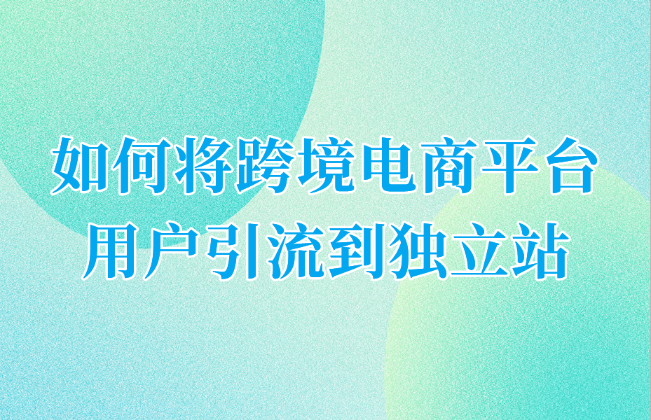 如何将跨境电商平台用户引流到独立站