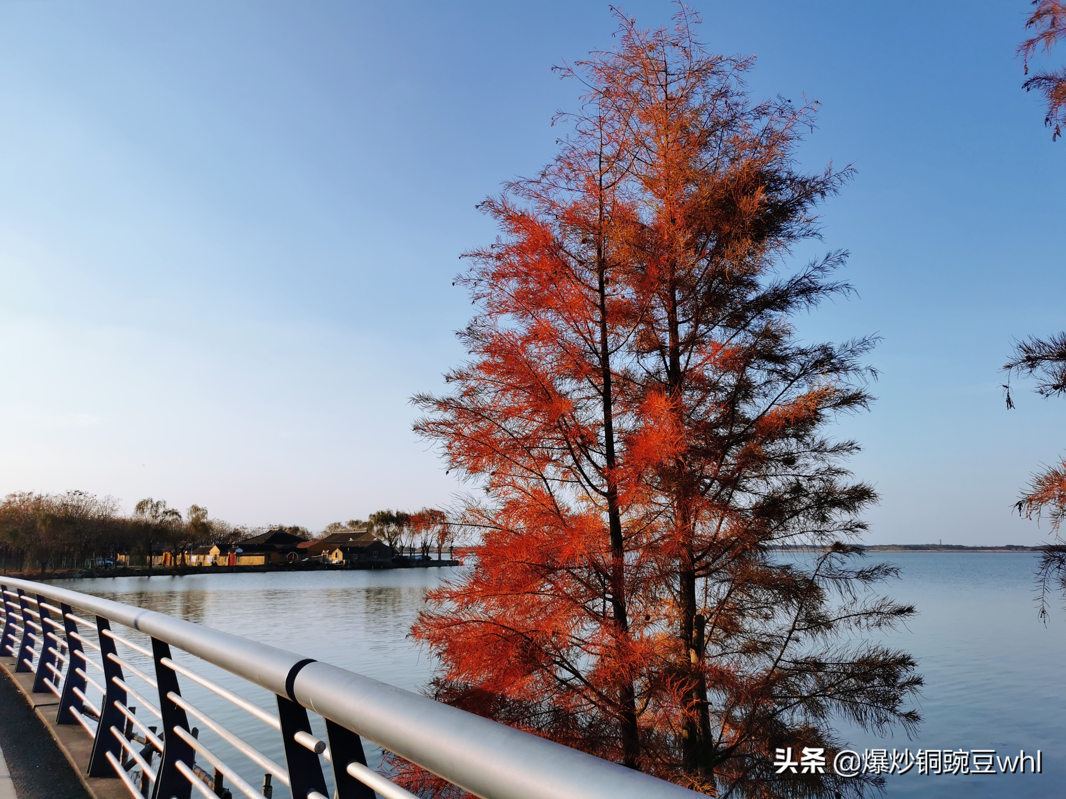 阳澄湖岂止大闸蟹，这些美景更加不容错过