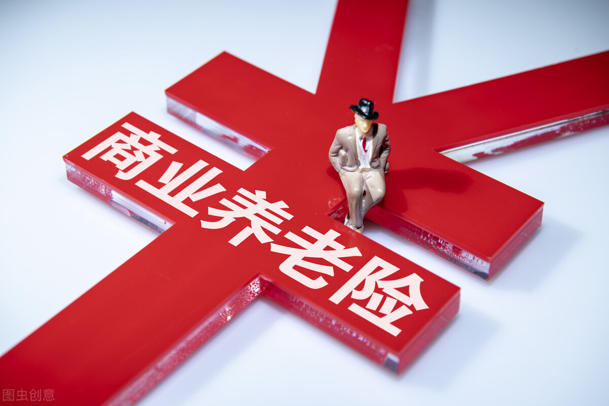 尽可能参保个人养老保险或者商业养老保险