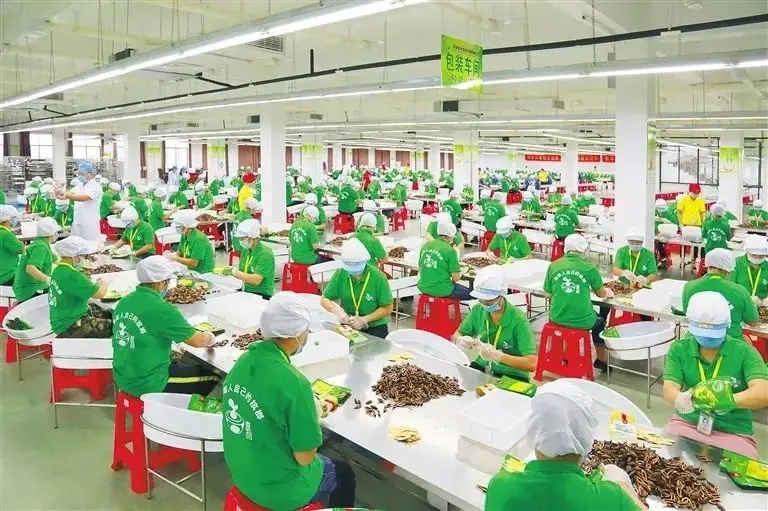 湖南“槟榔大王”家族内斗史：盲人富豪去世，亿万家产引争端