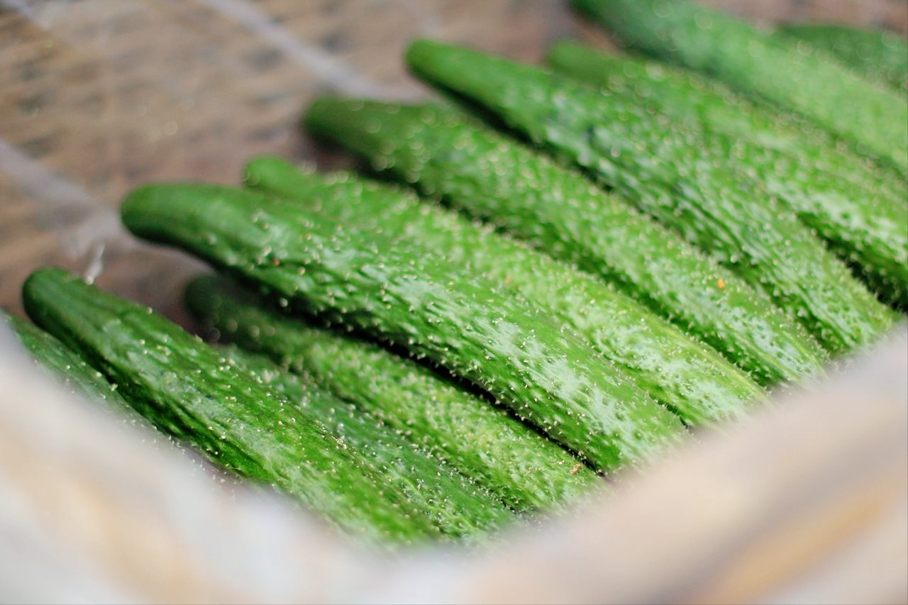 把5斤黄瓜放坛子里,不加一滴水,3天后全家吃"嗨"了,爽脆开胃