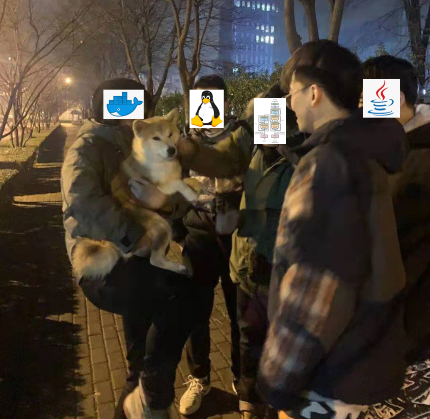 菜雞程序員的一天都在折騰些什么？