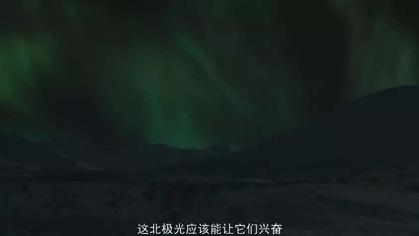最美的电影，看完整个人都舒服了