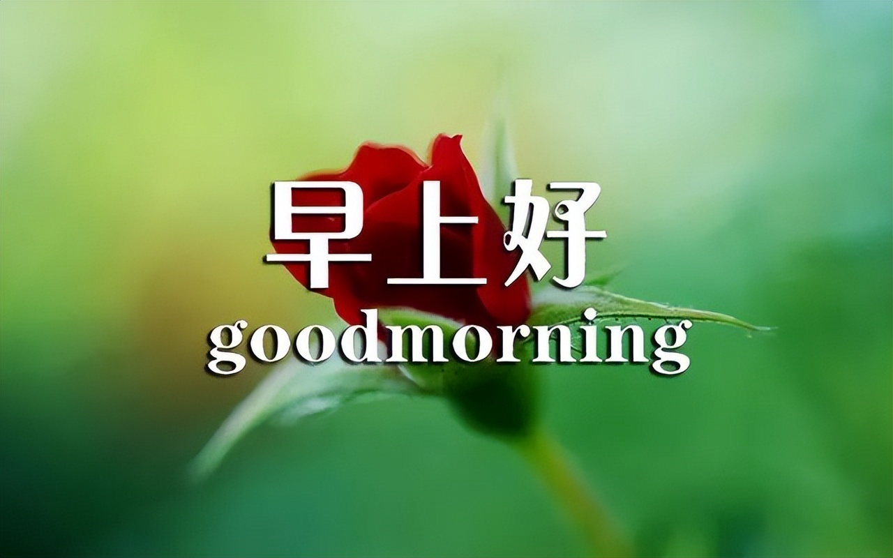 朋友圈祝福早上好语录文字图片 祝你生活顺畅、幸福无限图片