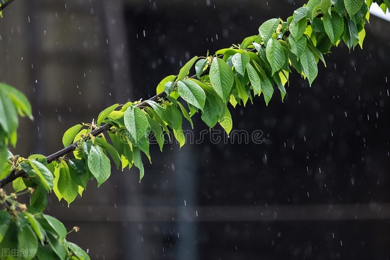乡情散文:春雨文:盖吉忠夜晚的一场雨,把乡村打扮的花枝招展,像恬静的
