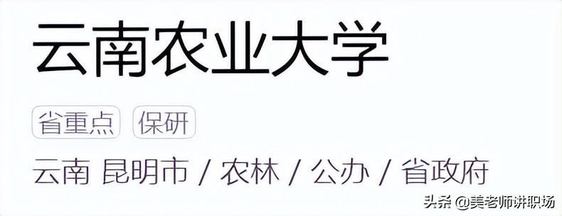 万字点评：全国31省市各排名前五共155所高校