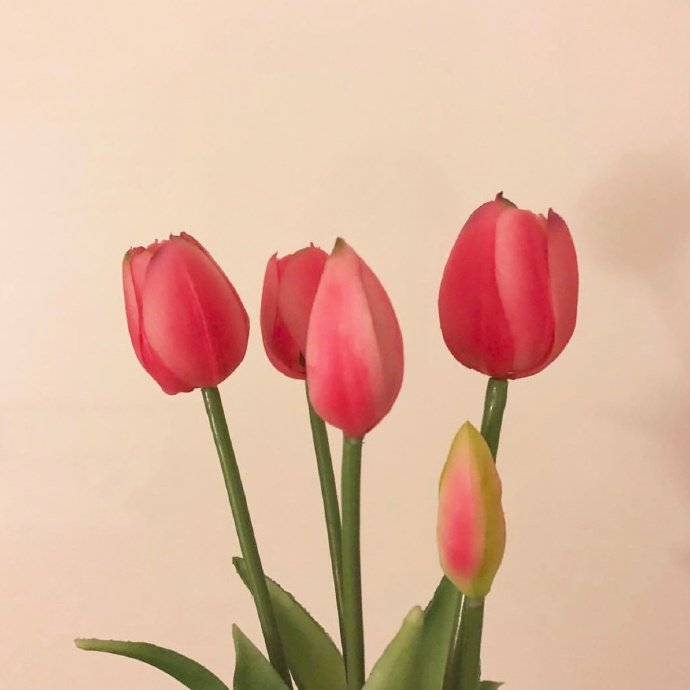 平安夜朋友圈的祝福语简短（平安夜祝福发朋友圈的句子）