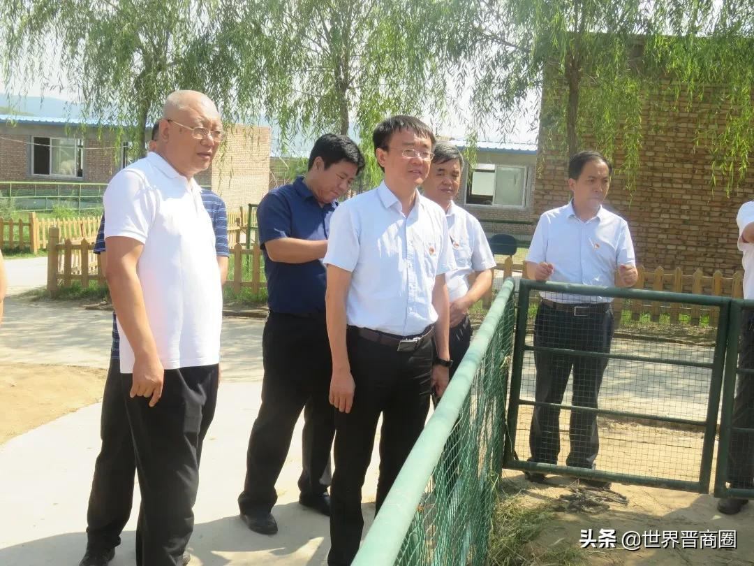 90后女孩靠此致富,山西神兽企业冲刺新三板:一头羊驼利润上万元