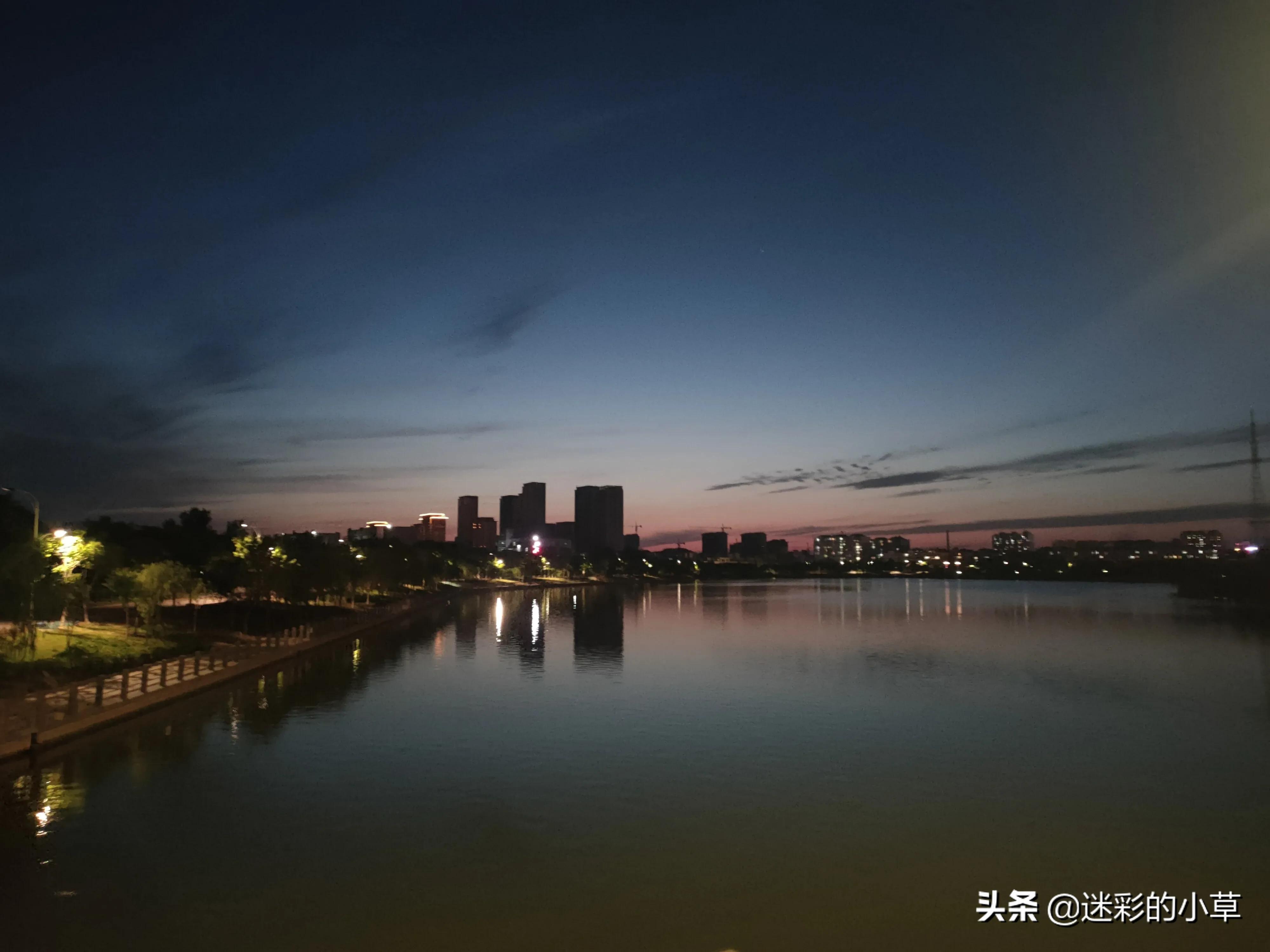 二棵树的结合像极了爱情(爱情就像两棵树)