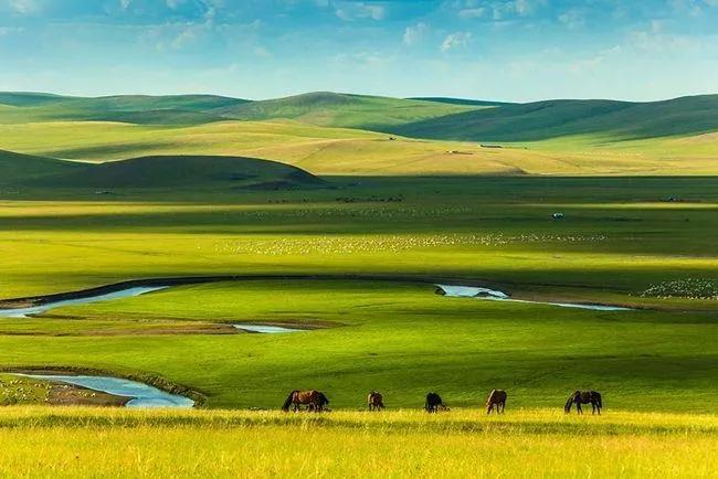 美丽的草原，我来了