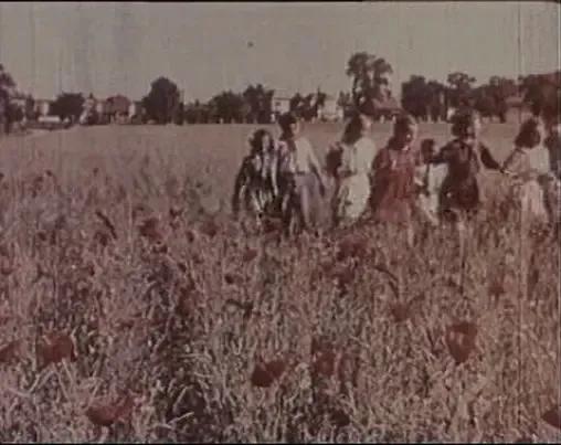 世界电影（0124）苏联电影《攻克柏林》（1950）剧照欣赏