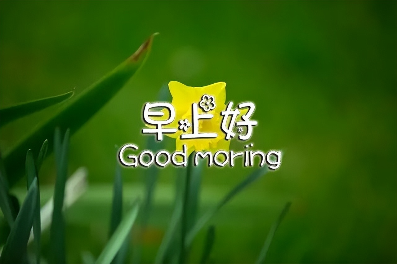 星期二早上好表情包，每天问个好，快乐多一秒，疫情无情人有情图片