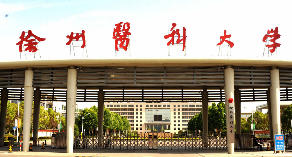 陕西本科二批投档线出炉,徐州医科大学超一本64分,和专业有关?