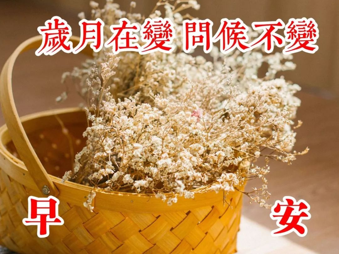 早上好，祝福问候，送给所有好朋友 珍惜今天珍惜现在 一切都美好图片