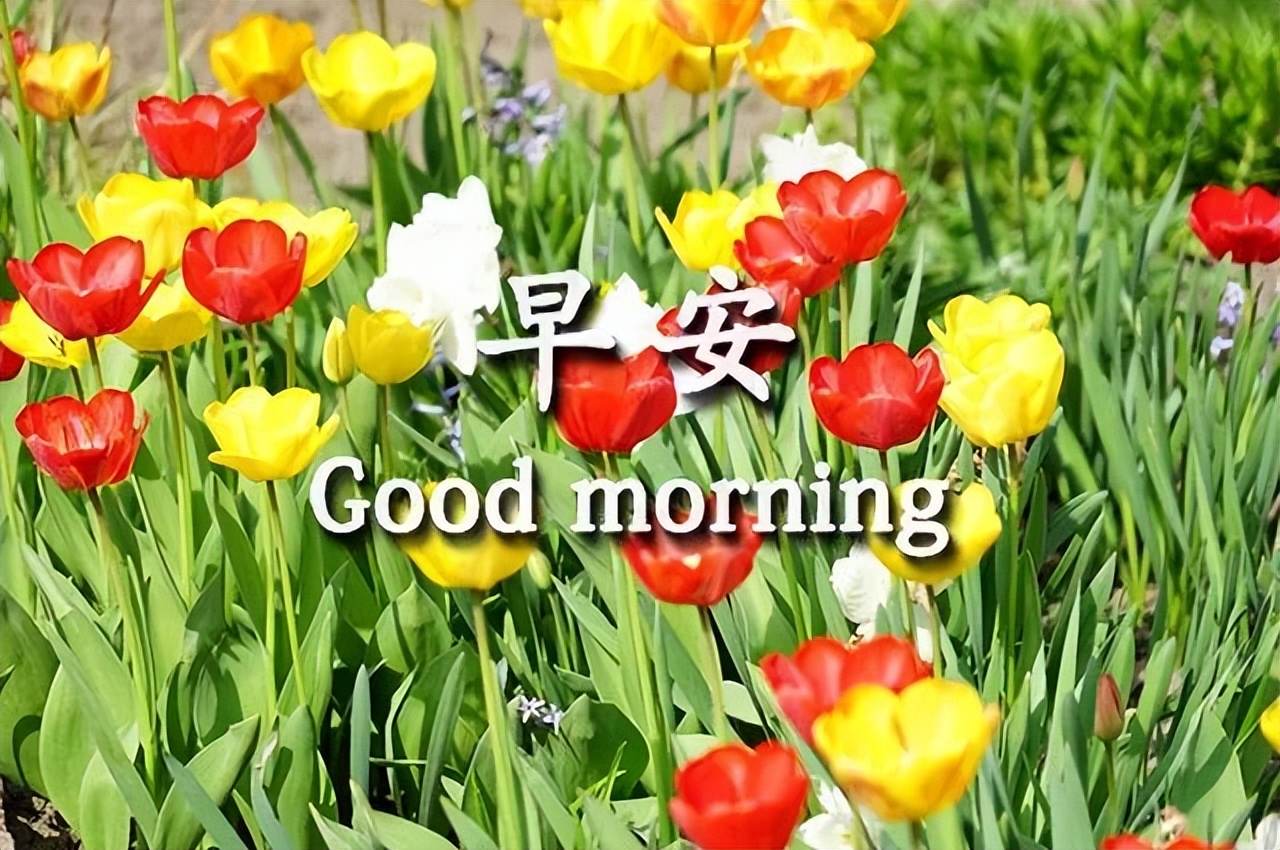 新版早上好表情包，岁月静好 ,平平安安，福气满满，好运常在图片