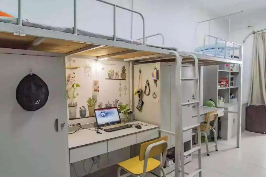 宿舍也分“三六九等”？北大和哈佛不在一个层次，网友：我去清华