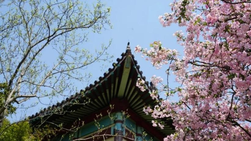 全国第三、江苏第一！在这项“奥林匹克”盛会中，南京师范大学捧回重磅大奖