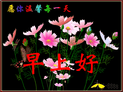 免打字早上好图片大全 我的祝福和晨曦一同来到你身边 心情好人不老图片