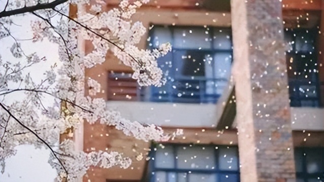 美术生挤破头都想上的7所综合类大学，确定不考虑下？