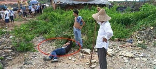 广东陆丰一黑社会落网记：出租车司机开车压死鸡，遭索赔180万