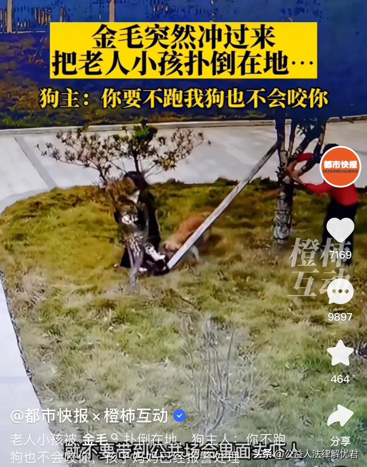 起锅烧油炖狗肉,究竟发生了什么事，让网友感到如此的气愤