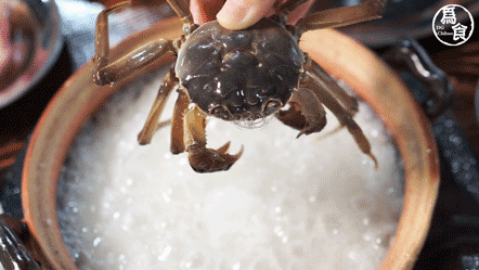 活煮螃蟹太残忍？英国科学家发现：螃蟹能感知疼痛，呼吁别活煮