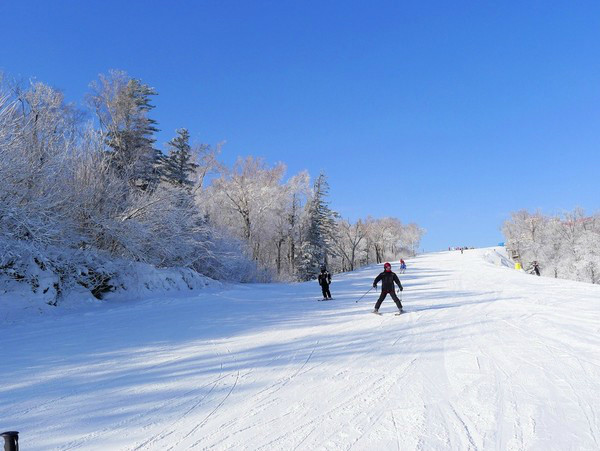 不知道谷爱凌在滑雪训练上花费多少钱，就不知道滑雪专业有多贵