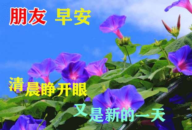 「2022.05.19」早安心语，正能量简单语录句子，治愈励志文案短句